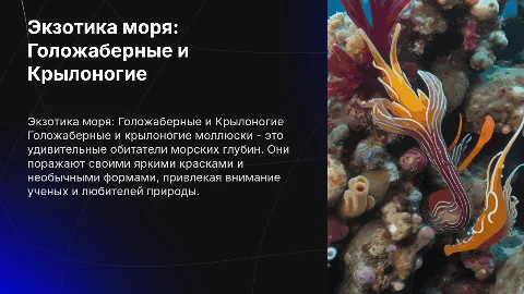 .Экзотика моря – Голожаберные и Крылоногие моллюски