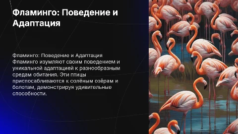 Фламинго: Особенности поведения и адаптации к средам