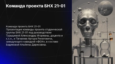 Команда проекта БНХ 21-01: достижения и планы