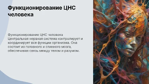 . Особенности функционирования центральной нервной системы человека