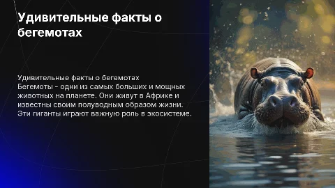 бегемот