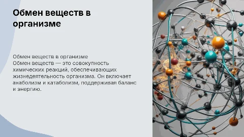Обмен веществ