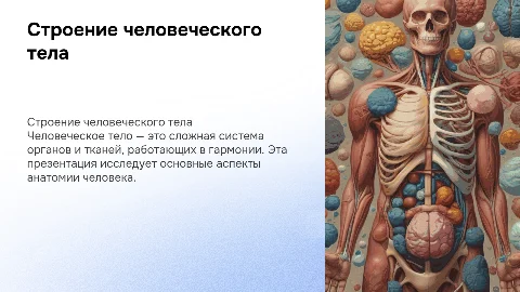 Презентация на тему Строение человека