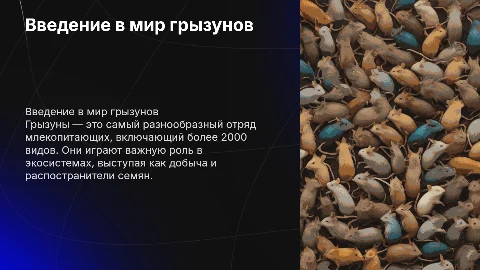 Грызуны