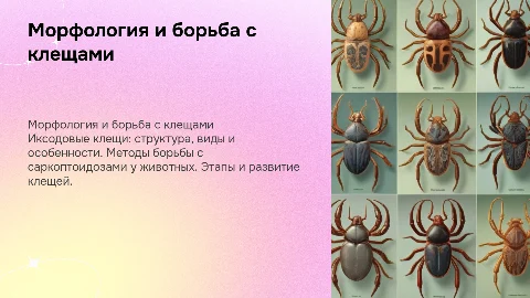 Морфология иксодовых клещей и препараты для борьбы с ними