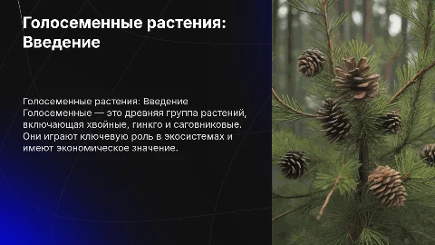 Отдел голосеменные