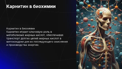 карнитин с точки зрения биохимии