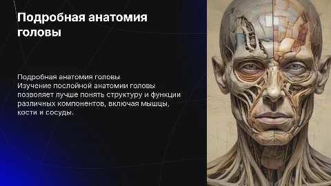 послойная анатомия головы подробно