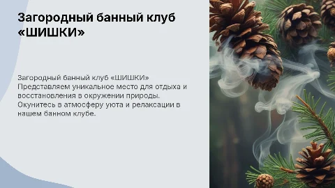 Загородный банный клуб «ШИШКИ»
