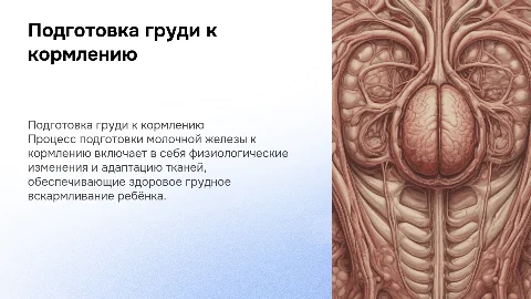 подготовка молочной железы к кормлению
