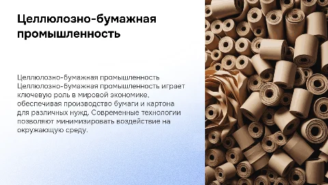 Целлюлозно-бумажная промышленность