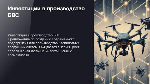 Инвестиционное предложение по созданию предприятия БВС