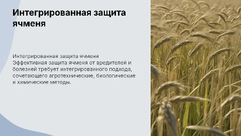 Интегрированная защита ячменя от вредителей и болезней