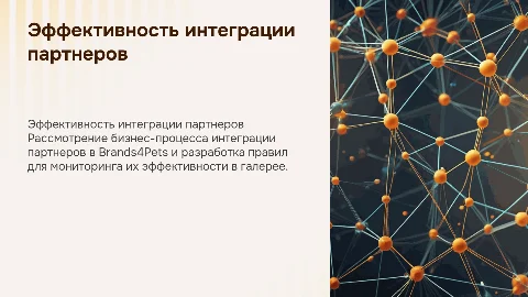 Анализ эффективности интеграции партнеров в Brands4Pets