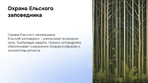 охрана ельского заповедник