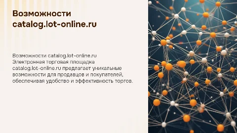 Возможности электронной торговой площадки catalog.lot-online.ru