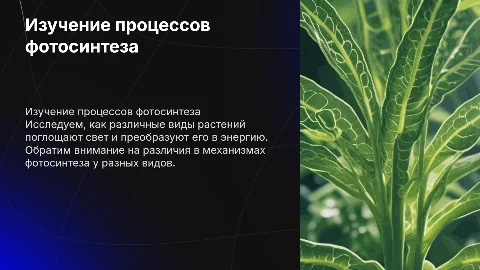 ИЗУЧЕНИЕ ПРОЦЕССОВ ФОТОСИНТЕЗА У РАЗНЫХ ВИДОВ РАСТЕНИЙ