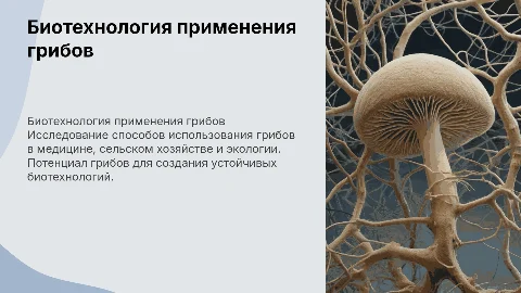 биотехнология использования грибов