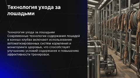 технология содержания лошадей в конном спортивном клубе