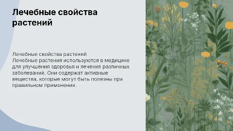 Тема презентации: "Лечебные растения"