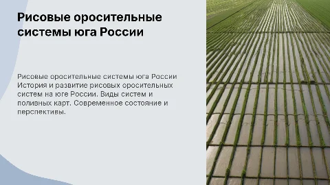 Рисовые оросительные системы на юге России: история и виды