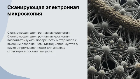 Сканирующая электронная микроскопия