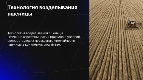 Технология возделывания пшеницы в конкретном хозяйстве
