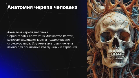 анатомия череп головы