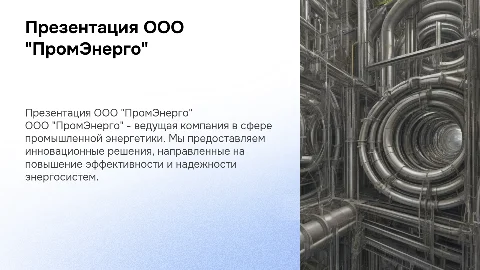 Презентация компании ООО "ПромЭнерго" (www.promenergo.pro)