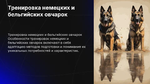 Тренировка и подготовка немецкой и бельгийской овчарки
