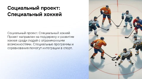 Социальный проект на тему специального хоккея
