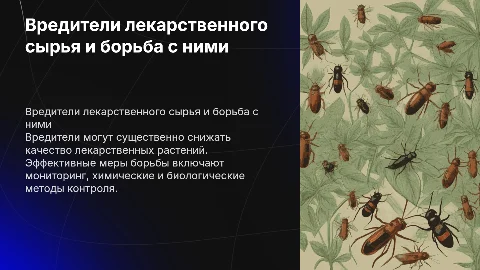Вредители лекарственного растительного сырья и меры борьбы