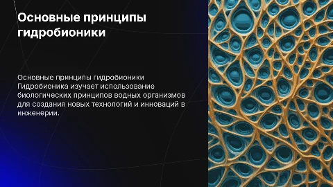 основные принципы гидробионики