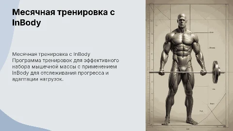 Программа тренировки на месяц для набора мышечной массы