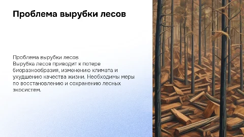 вырубка лесов