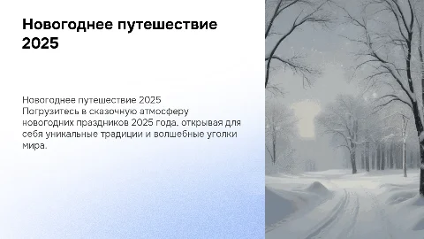 Новогоднее путишествие 2025 год