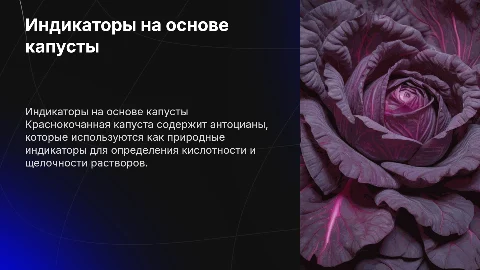 Индикаторы. Опыт с краснокочанной капустой