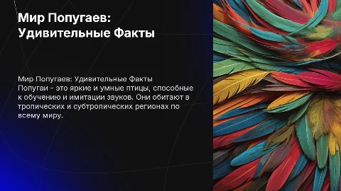 Попугай