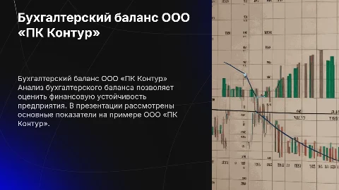 Анализ бухгалтерского баланса ООО «ПК Контур»