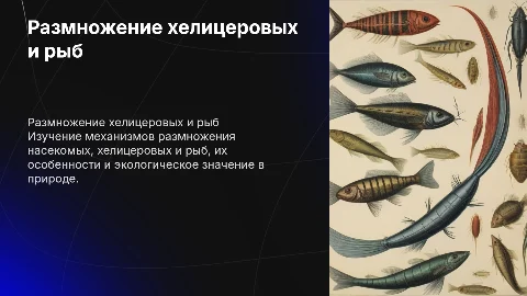 размножение насекомых. хелицеровые, рыбы