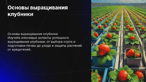 Выращивание клубники