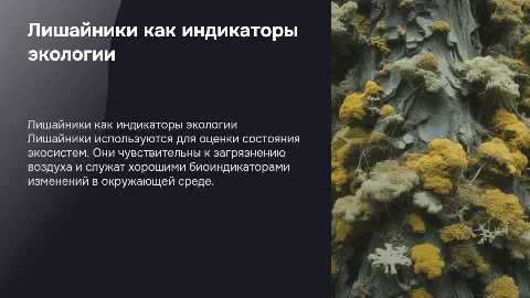 лишайники- биоиндикаторы окружающей среды