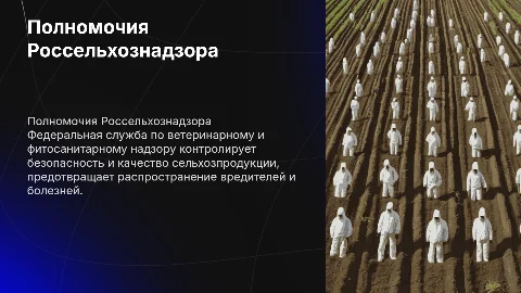 Полномочия Россельхознадзора: контроль и надзор в агросекторе