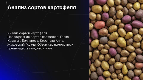 Анализ сортов картофеля: Галла, Каратоп, Беллароза и другие