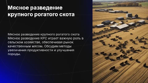 Мясное разведение КРС