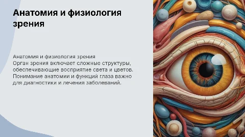 анатомия и физиология органа зрения