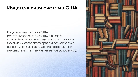 Издательская система США