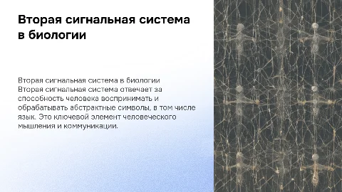Вторая сигнальная система . Биология