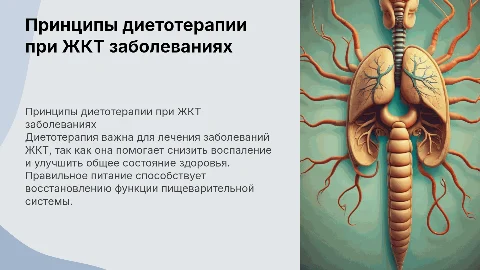 Основные принципы диетотерапии при заболеваниях ЖКТ