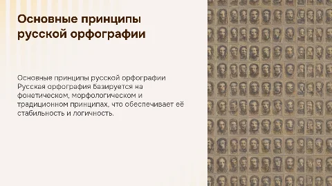 основные принципы русской орфографии